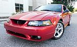 2001 Mustang Cobra SVT Thumbnail 39