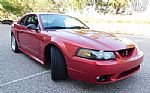 2001 Mustang Cobra SVT Thumbnail 44