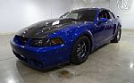 2003 Mustang Cobra Terminator Thumbnail 4