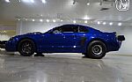 2003 Mustang Cobra Terminator Thumbnail 8