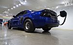 2003 Mustang Cobra Terminator Thumbnail 11
