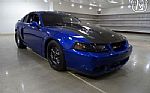 2003 Mustang Cobra Terminator Thumbnail 22