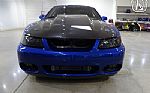 2003 Mustang Cobra Terminator Thumbnail 25