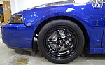 2003 Mustang Cobra Terminator Thumbnail 30