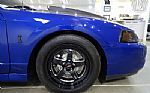 2003 Mustang Cobra Terminator Thumbnail 35