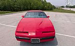 1989 Firebird Thumbnail 22