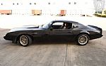 1981 Firebird Trans Am Thumbnail 4