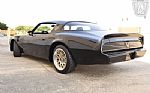1981 Firebird Trans Am Thumbnail 8