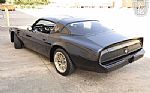 1981 Firebird Trans Am Thumbnail 7