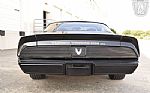 1981 Firebird Trans Am Thumbnail 11