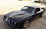 1981 Firebird Trans Am Thumbnail 24