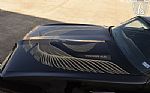 1981 Firebird Trans Am Thumbnail 29