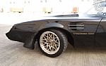 1981 Firebird Trans Am Thumbnail 28