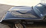 1981 Firebird Trans Am Thumbnail 31