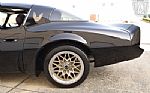 1981 Firebird Trans Am Thumbnail 36