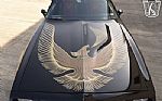 1981 Firebird Trans Am Thumbnail 50