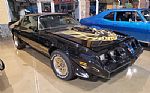1979 Firebird Trans Am Thumbnail 2
