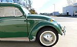 1969 Beetle Thumbnail 33