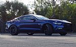 2015 Mustang GT 50 Years Limited Ed Thumbnail 1