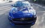 2015 Mustang GT 50 Years Limited Ed Thumbnail 11
