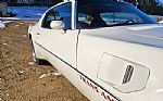 1976 Trans Am Thumbnail 32