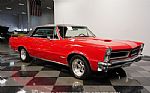 1965 GTO Thumbnail 16