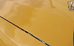 2005 Mustang FR500C #002 Thumbnail 45