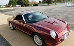 2004 Thunderbird Thumbnail 6