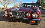 1983 XJ-Series Thumbnail 13