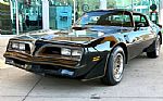 1981 Firebird Thumbnail 1