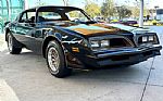 1981 Firebird Thumbnail 4