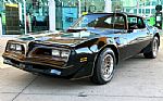 1981 Firebird Thumbnail 11
