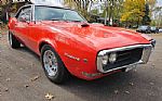 1968 Firebird Thumbnail 3