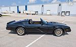 1977 Firebird Roadster Trans Am Thumbnail 16