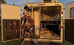 2014 Travel Coach 3 Horse Trailer Thumbnail 18
