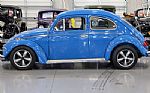 1971 Beetle Thumbnail 11