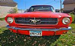 1965 Mustang Thumbnail 8
