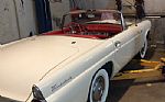 1955 Thunderbird Thumbnail 13