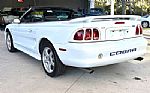 1997 Mustang SVT Cobra Thumbnail 10