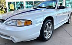 1997 Mustang SVT Cobra Thumbnail 13