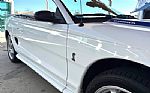 1997 Mustang SVT Cobra Thumbnail 19