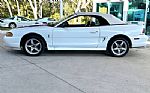 1997 Mustang SVT Cobra Thumbnail 24