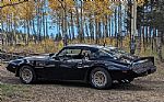 1979 Trans Am Thumbnail 3