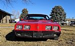 1980 Firebird Thumbnail 8