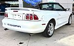 1997 Mustang Thumbnail 6