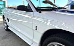 1997 Mustang Thumbnail 19