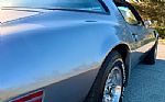 1979 Trans Am Thumbnail 11
