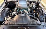 1979 Trans Am Thumbnail 21