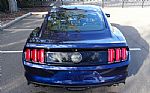 2015 Mustang GT 50 Years Limited Ed Thumbnail 4