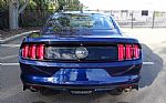 2015 Mustang GT 50 Years Limited Ed Thumbnail 5